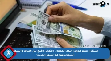استقرار سعر الدولار اليوم الجمعة.. اختلاف واضح بين البنوك والسوق السوداء فما هو السعر الجديد؟
